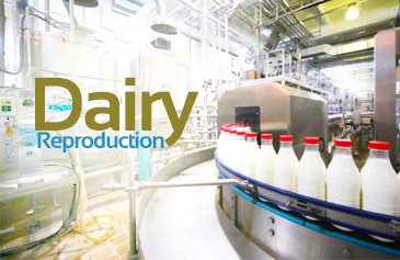 دورة Dairy Reproduction