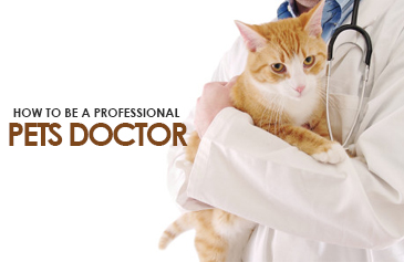 دورة How to be a professional pets doctor