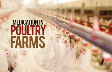 دورة Medication in poultry Farms