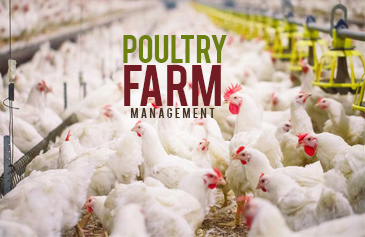 دورة Poultry Farm Management