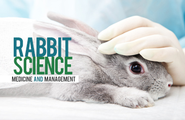 دورة Rabbit Science Medicine And Management